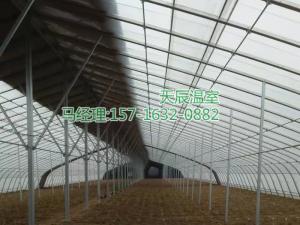 20米寬幾字鋼拱棚溫室
